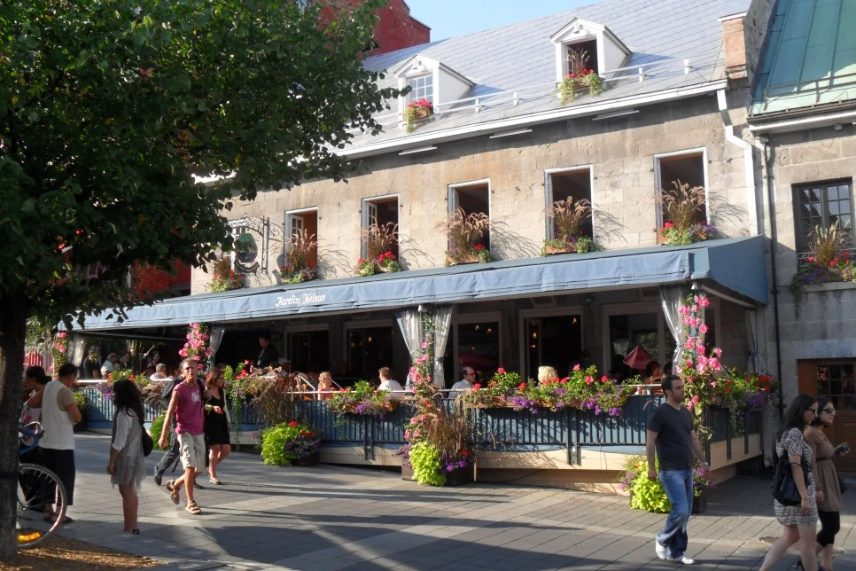 SAM_0895.JPG?type=w966