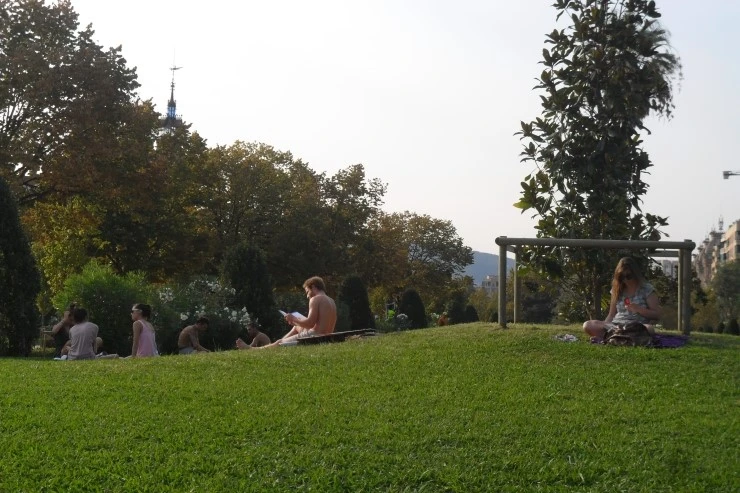 SAM_3560.JPG?type=w1