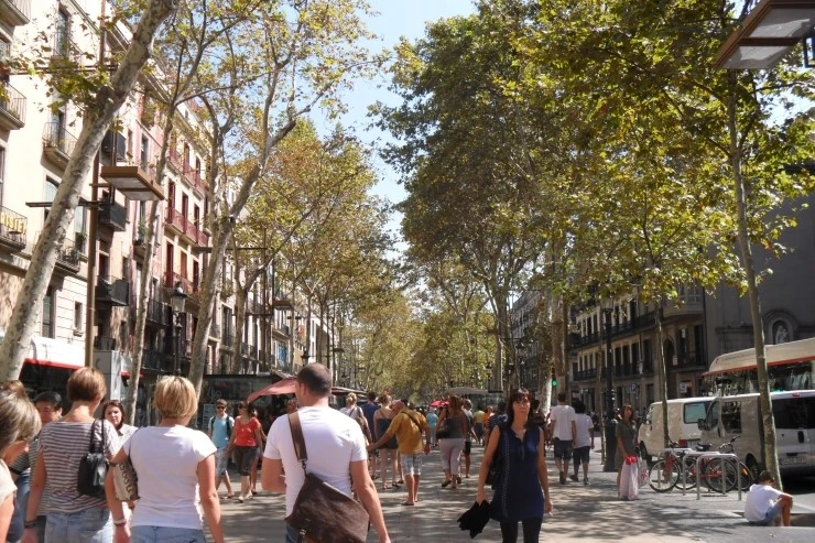 SAM_3170.JPG?type=w1