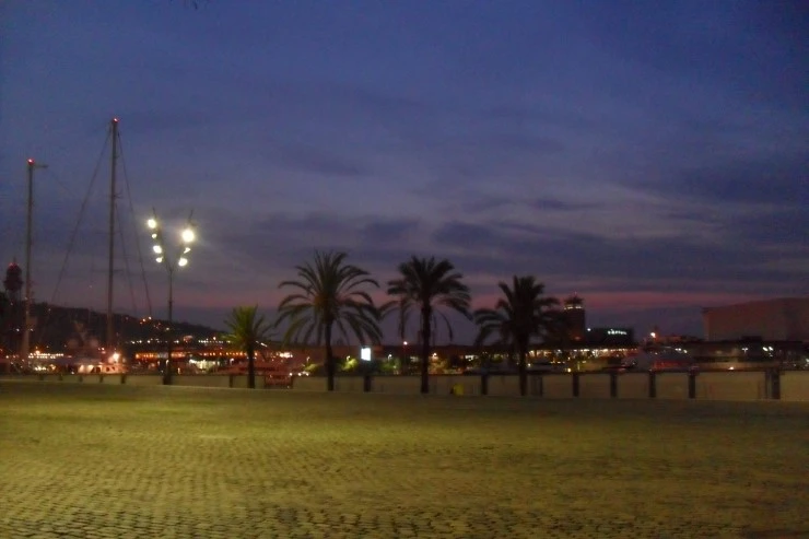 SAM_4113.JPG?type=w1