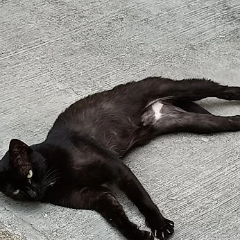 WhatsApp Image 2021-06-20 at 15.27.32.jpeg