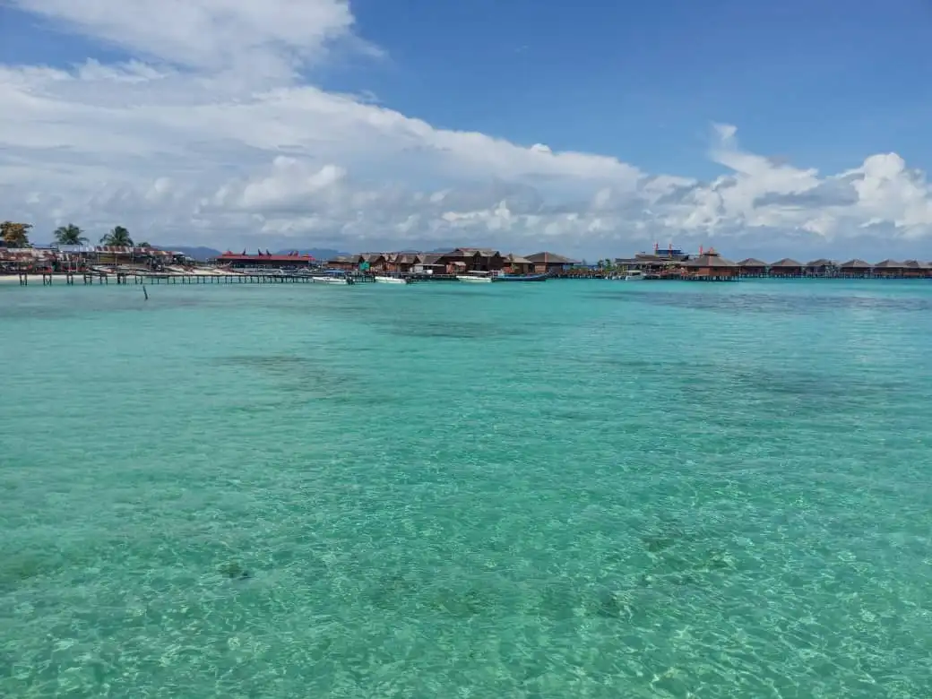 WhatsApp Image 2021-01-14 at 12.22.17 PM.jpeg