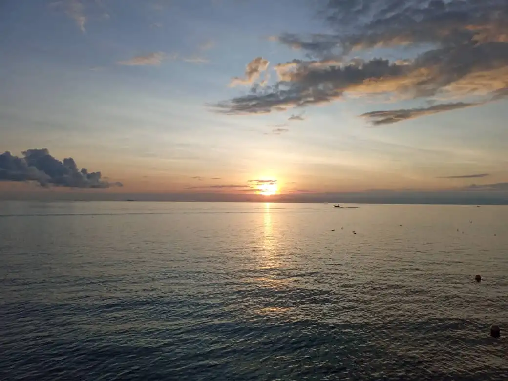 WhatsApp Image 2020-12-23 at 1.11.20 PM.jpeg