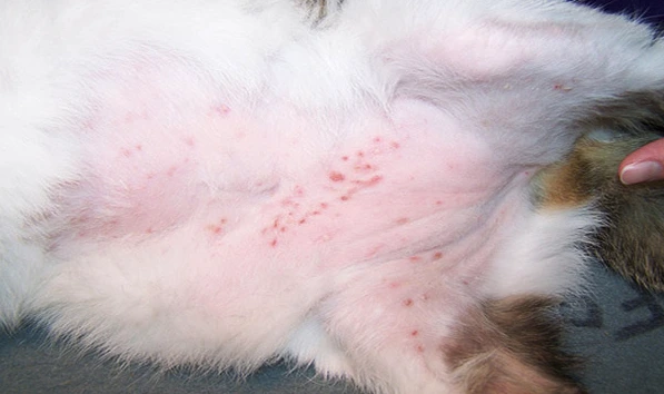 %EC%8A%A4%ED%81%AC%EB%A6%B0%EC%83%B7_2018-12-30_%EC%98%A4%EC%A0%84_1.22.18.png?type=w1