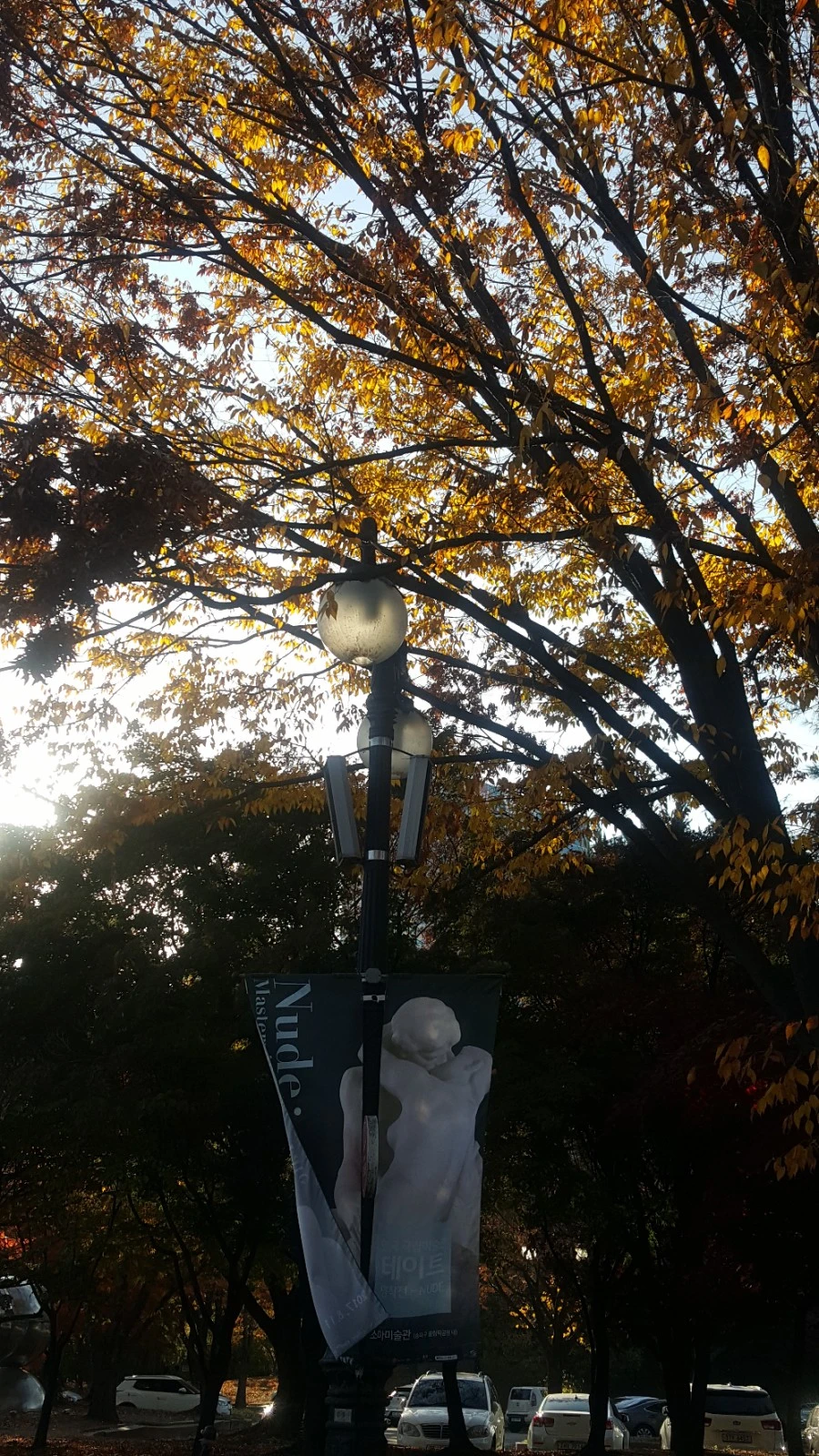 20171111_153836.jpg?type=w966