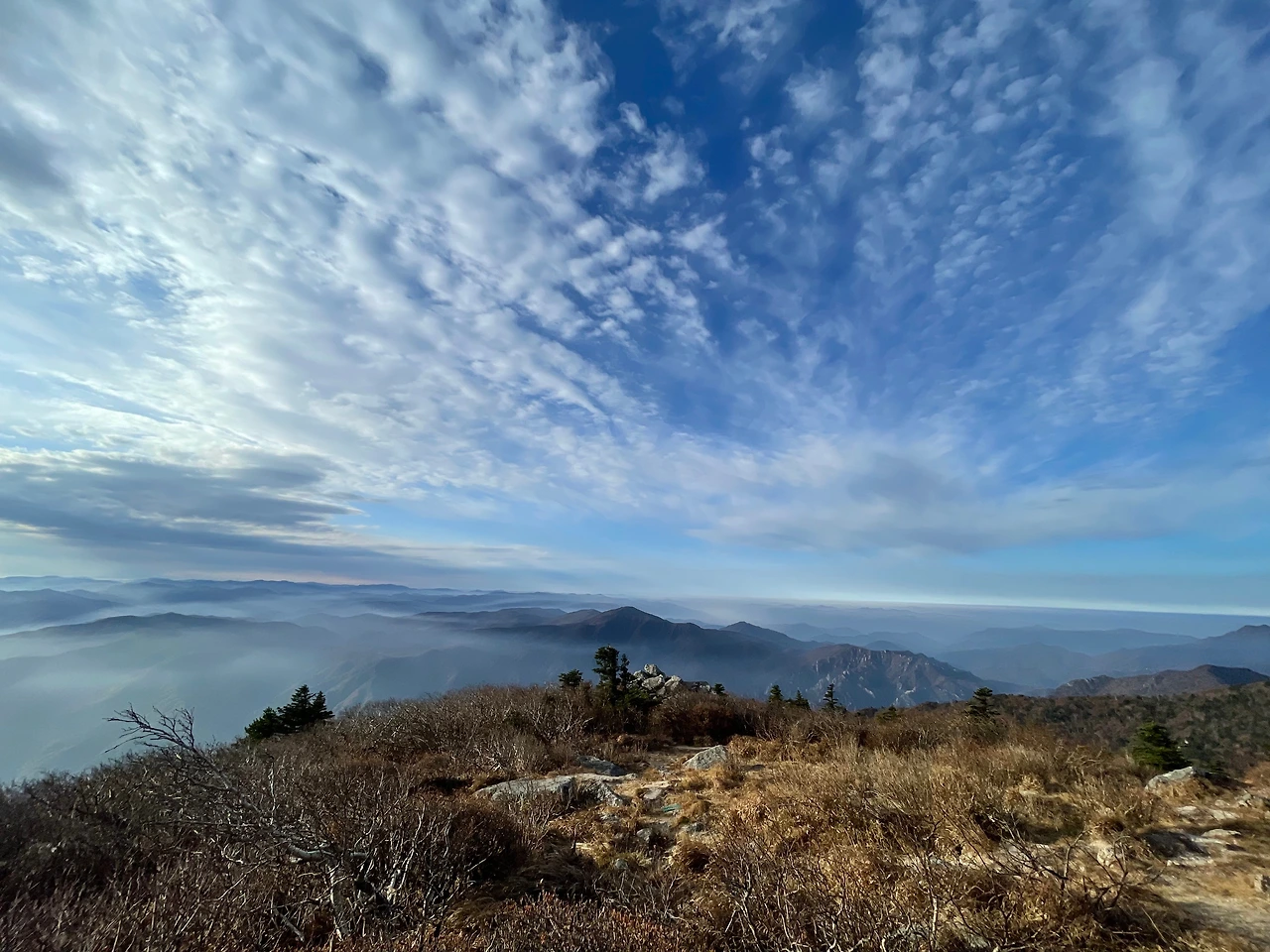 KakaoTalk_Photo_2022-10-24-17-19-45 018.jpeg