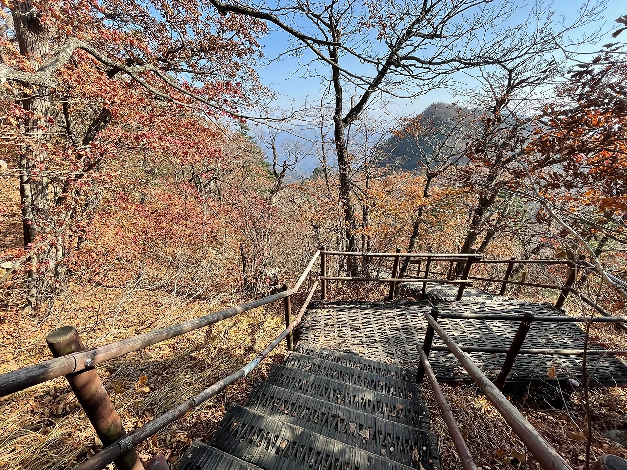 KakaoTalk_Photo_2022-10-24-17-19-49 024.jpeg