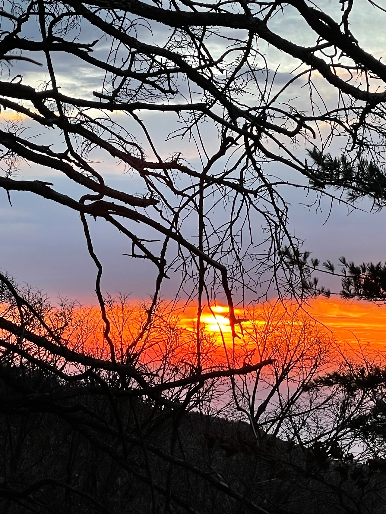 KakaoTalk_Photo_2022-10-24-17-19-44 014.jpeg