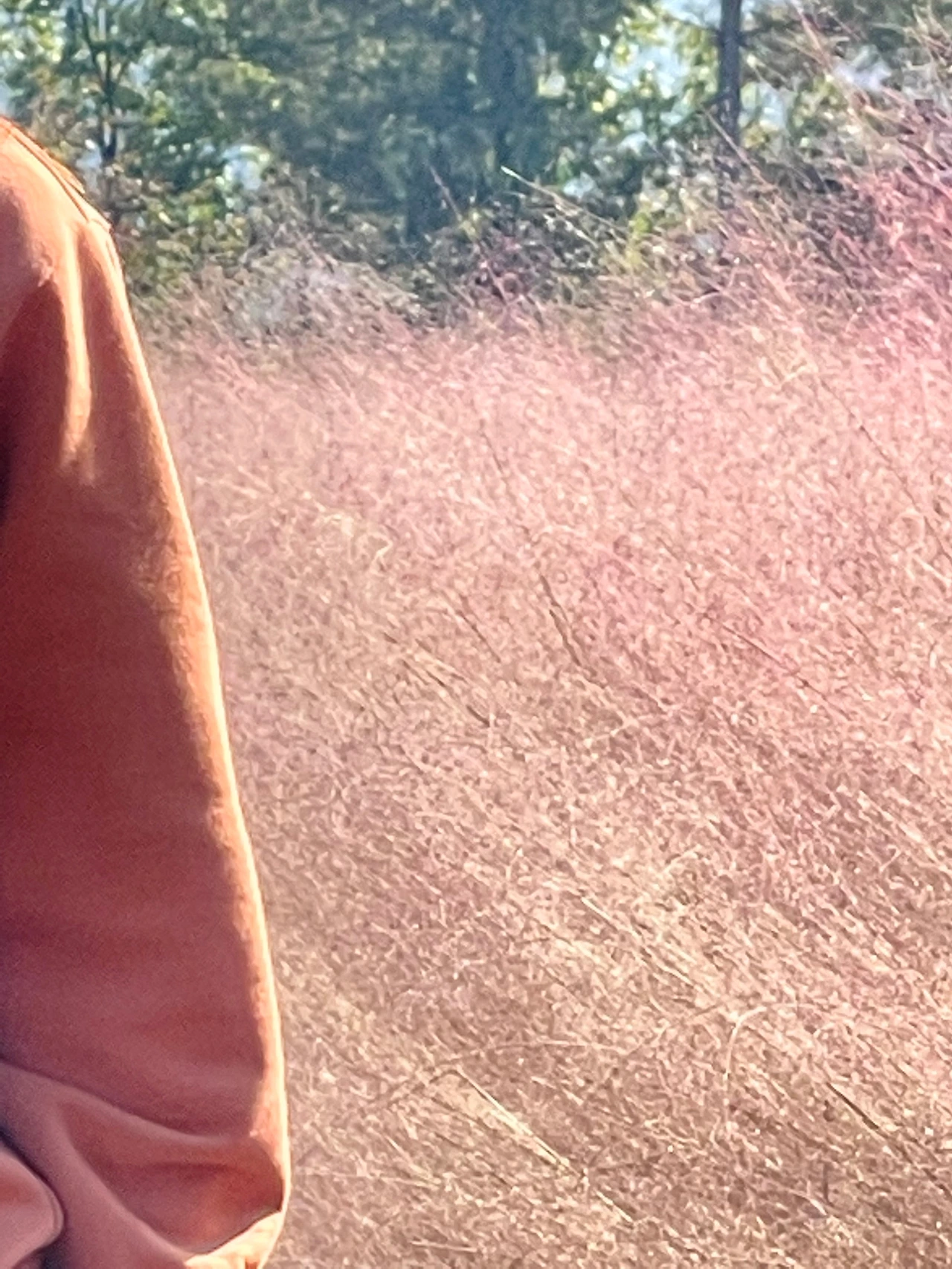 KakaoTalk_Photo_2021-11-15-20-37-55 009.jpeg