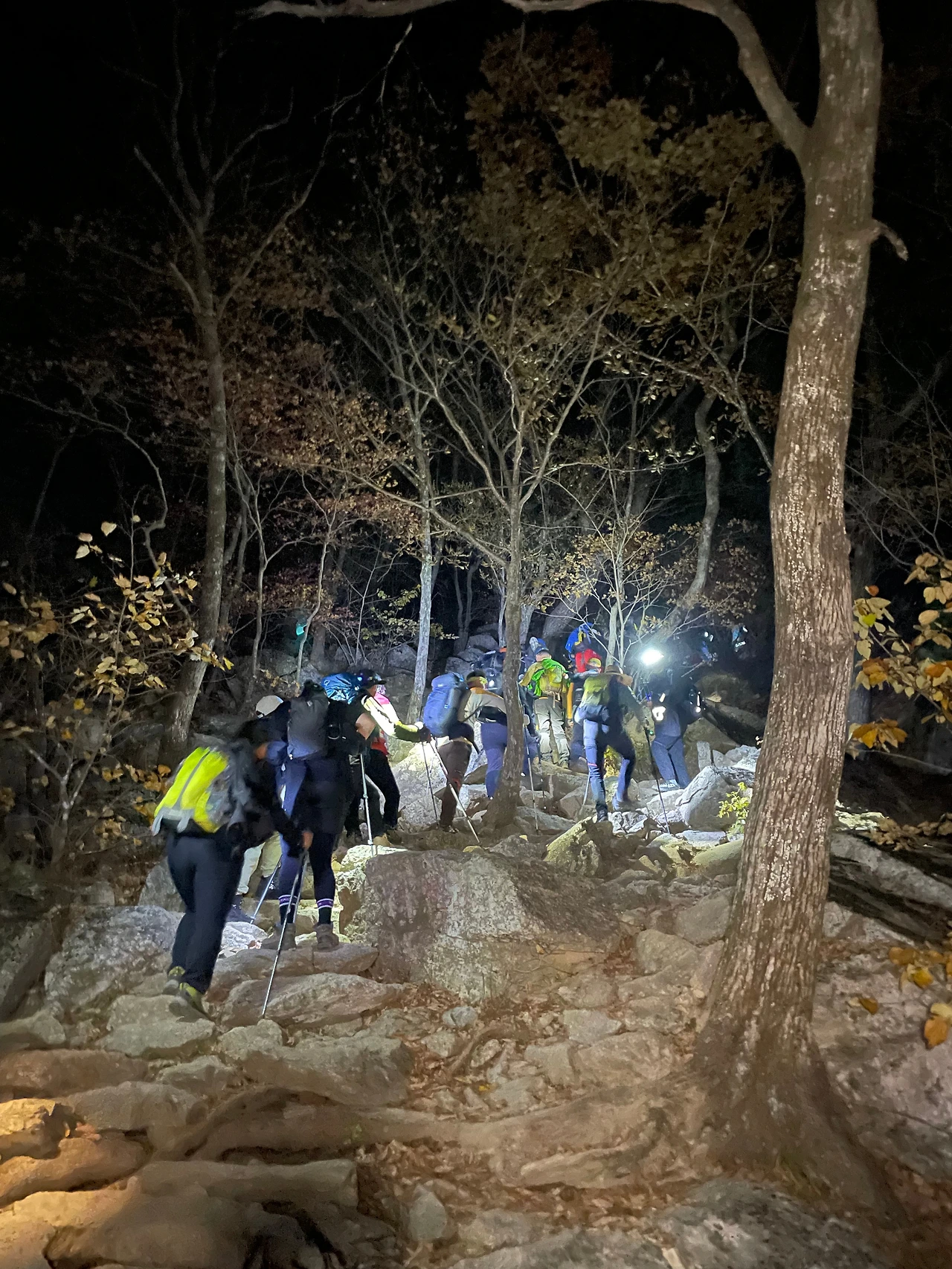 KakaoTalk_Photo_2022-10-24-17-19-43 011.jpeg