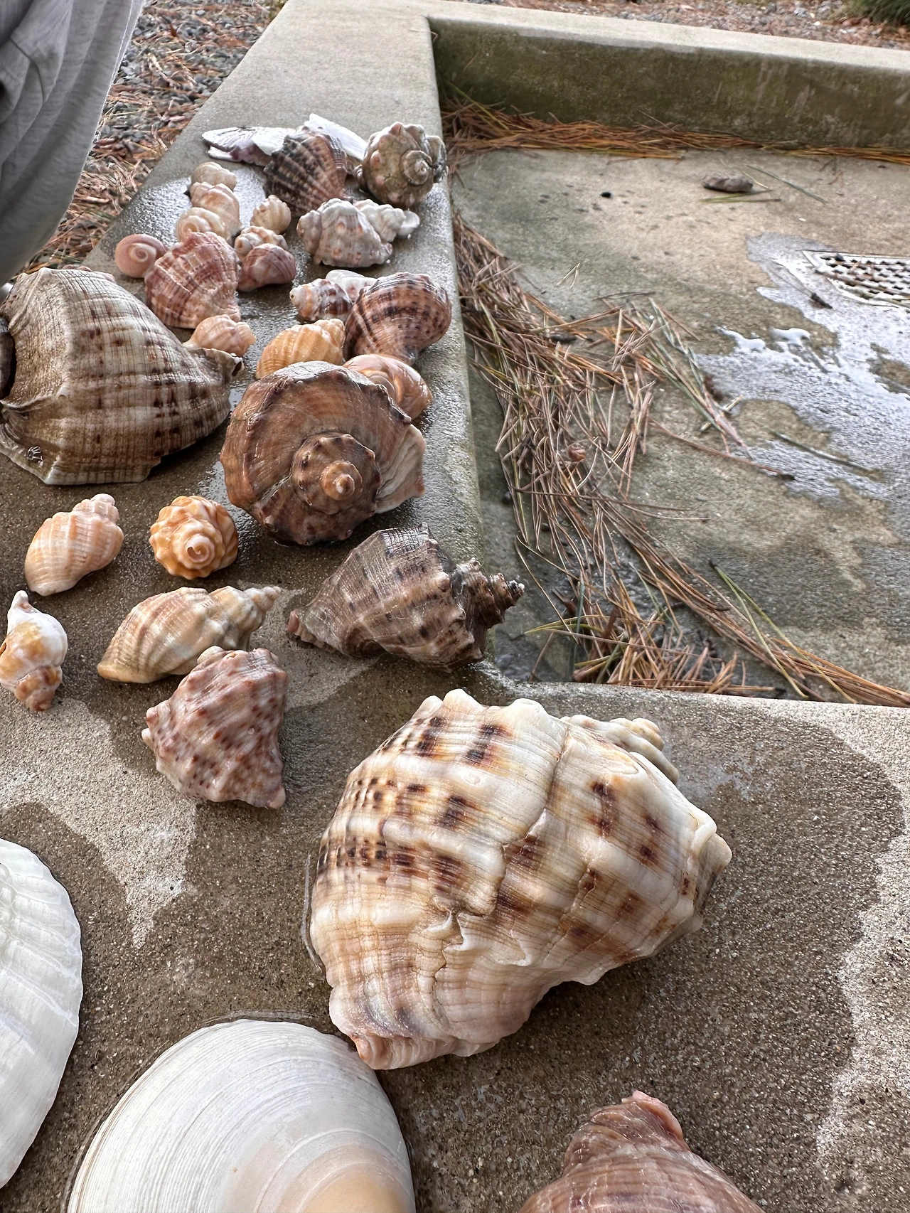 KakaoTalk_Photo_2024-11-26-11-43-32 010.jpeg