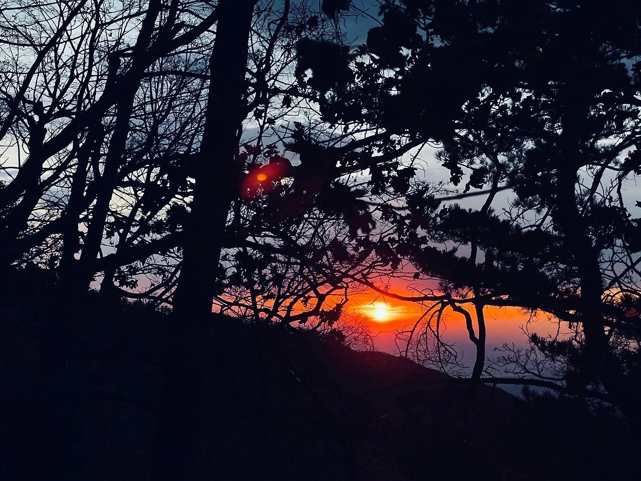 KakaoTalk_Photo_2022-10-24-17-19-44 013.jpeg