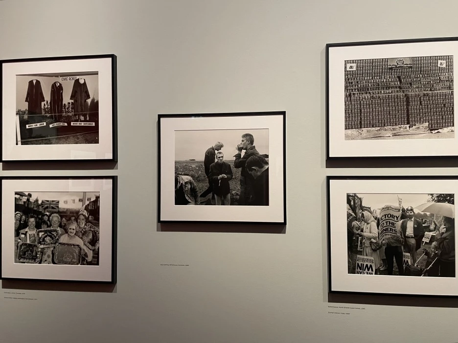 IMG_2529.jpg?type=w1