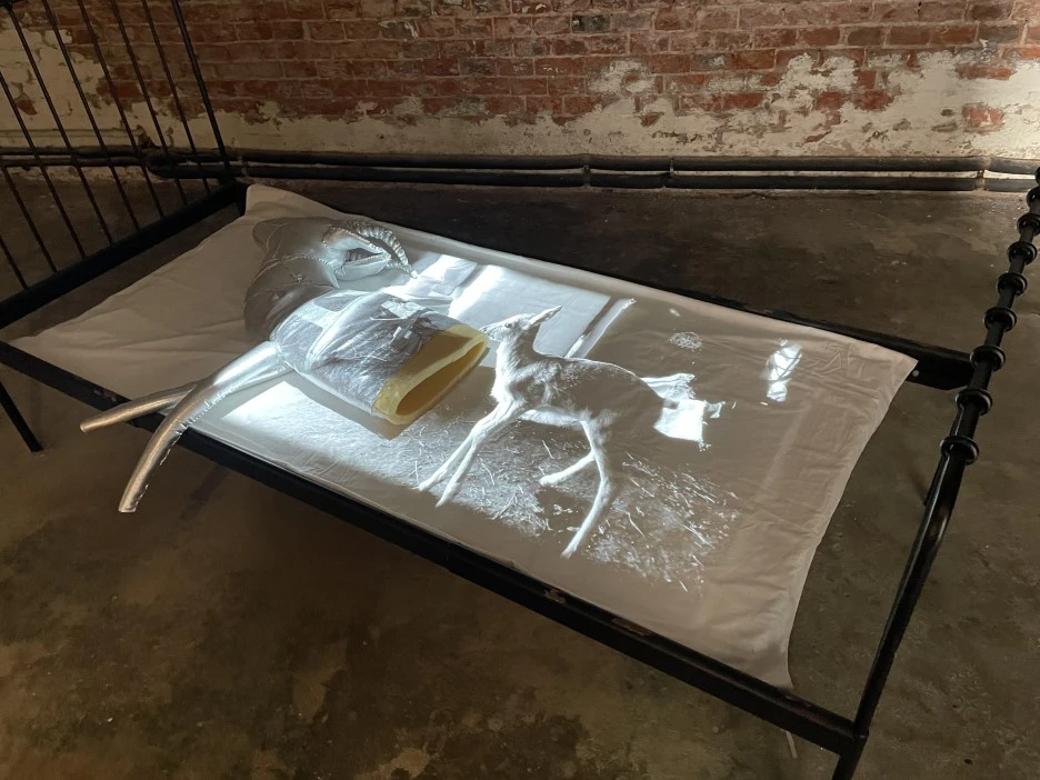 IMG_6805.jpg?type=w1