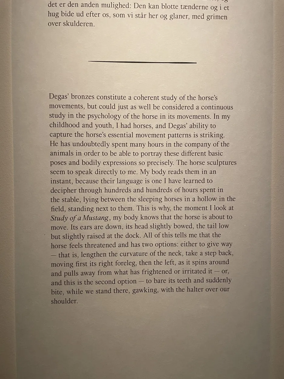 IMG_0662.JPG?type=w1