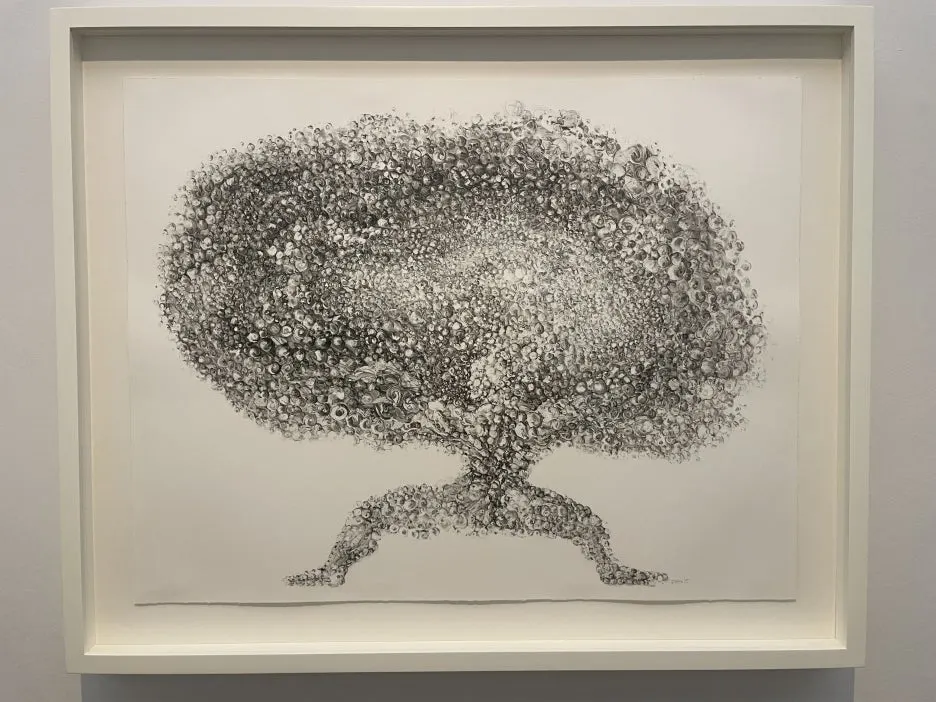 IMG_4792.JPG?type=w1