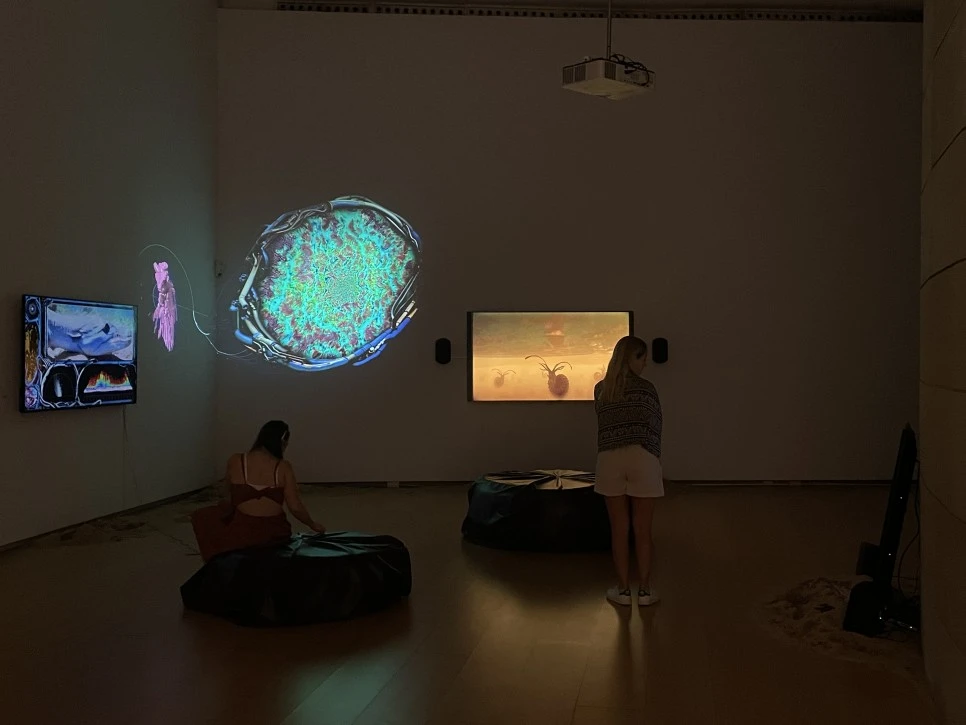 IMG_9662.JPG?type=w966