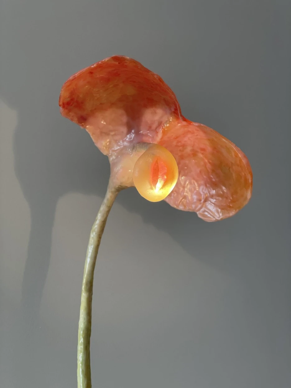 IMG_1161.jpg?type=w1