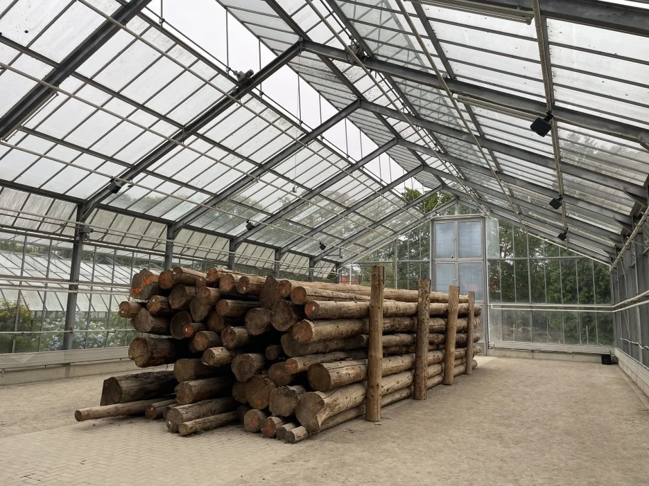 IMG_2284.jpg?type=w1