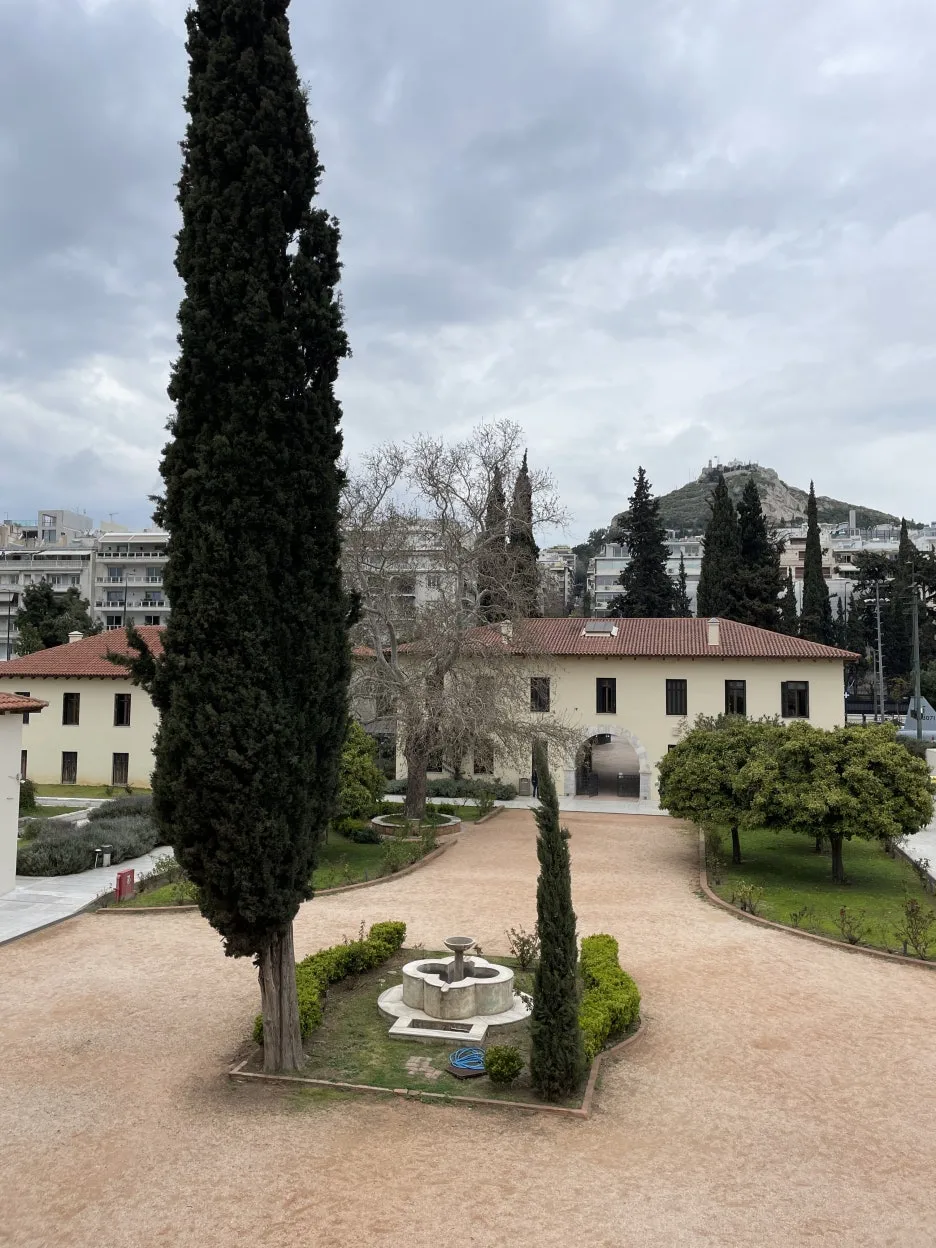 IMG_3468.JPG?type=w1