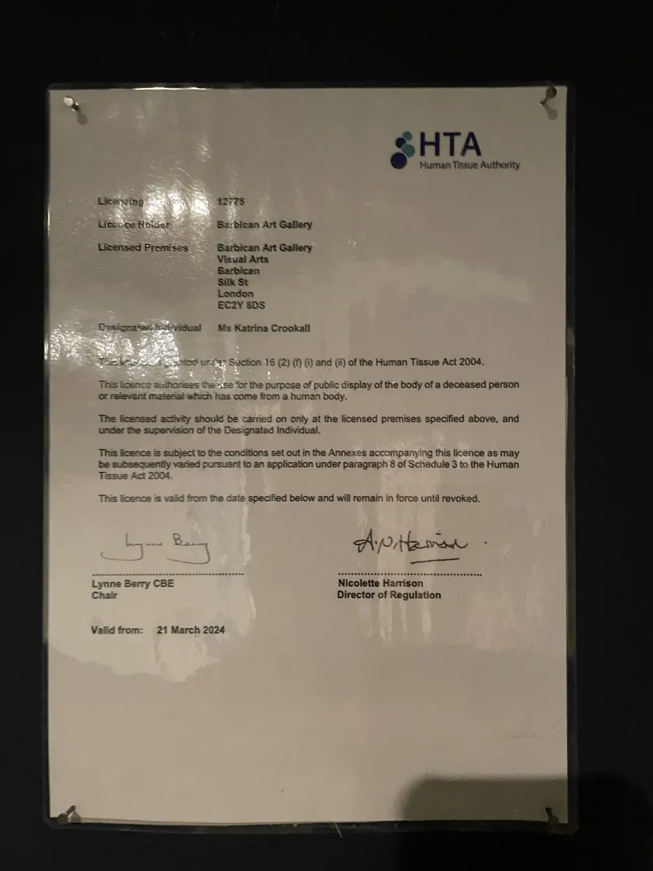 IMG_5971.JPG?type=w1