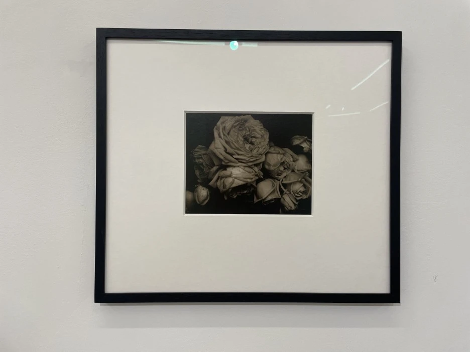 IMG_7781.JPG?type=w1