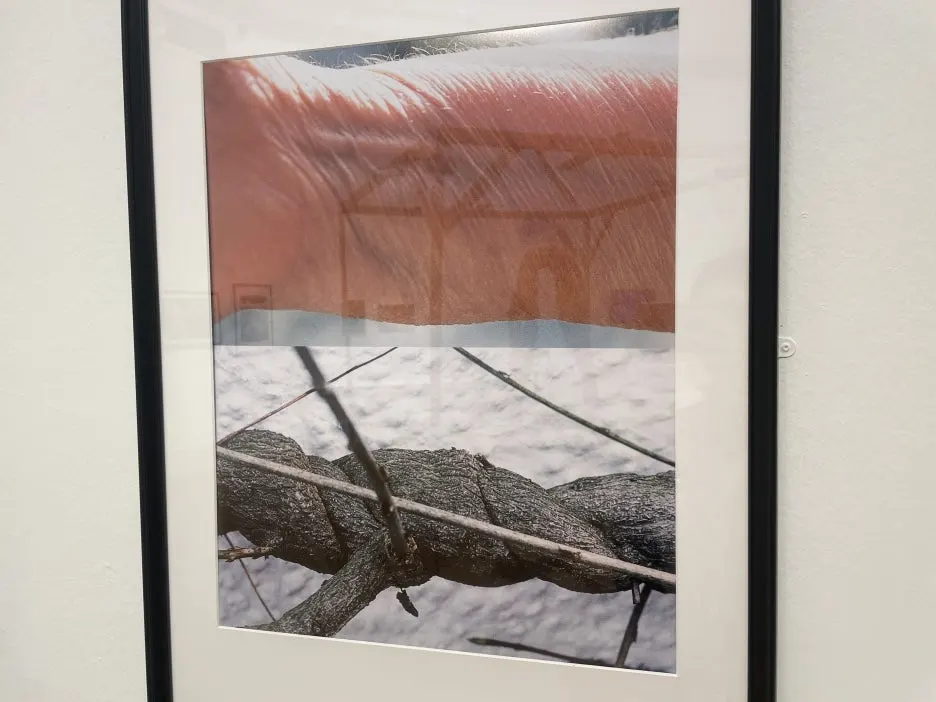 IMG_4835.JPG?type=w1