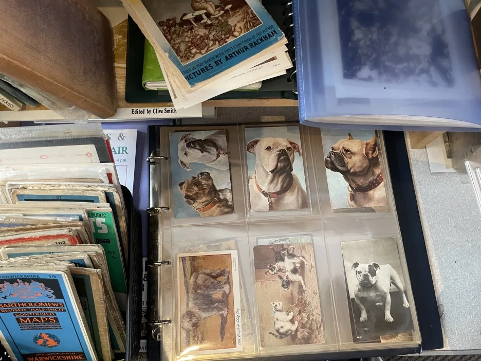 IMG_5163.jpg?type=w1