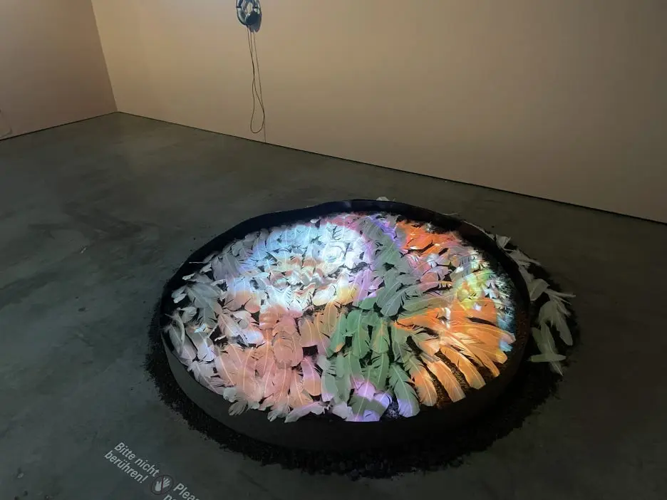 IMG_8995.JPG?type=w1