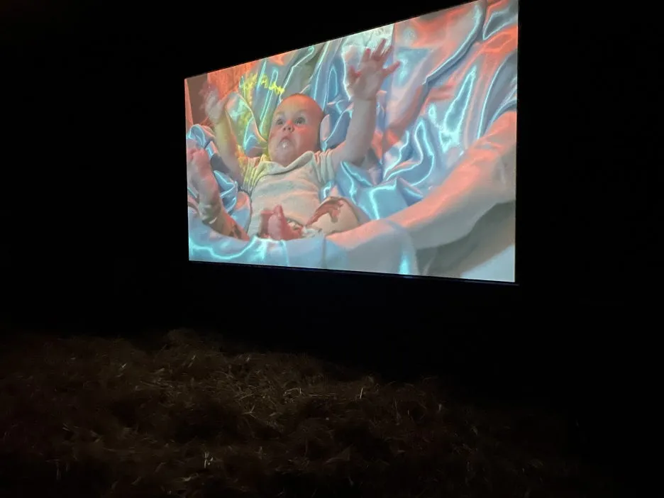 IMG_2200.JPG?type=w1