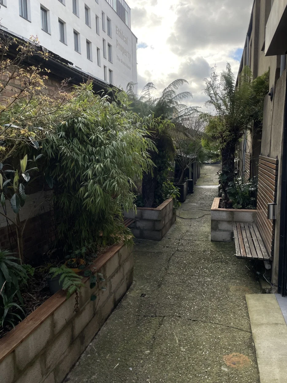 IMG_2205.JPG?type=w1