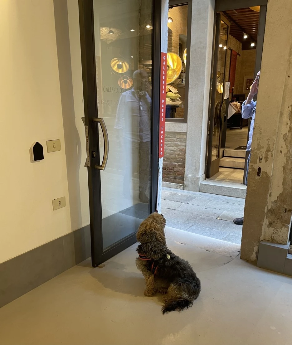 IMG_7258.jpg?type=w1