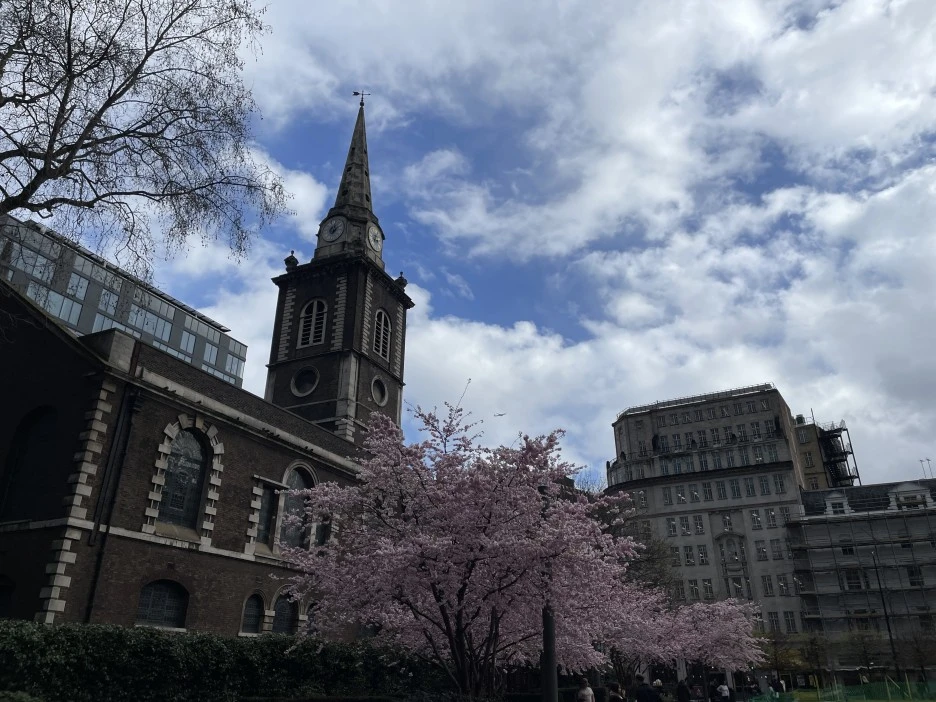 IMG_3524.JPG?type=w1