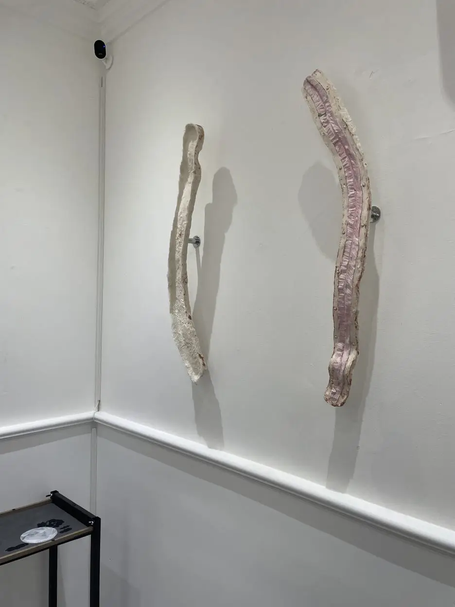 IMG_6082.JPG?type=w1