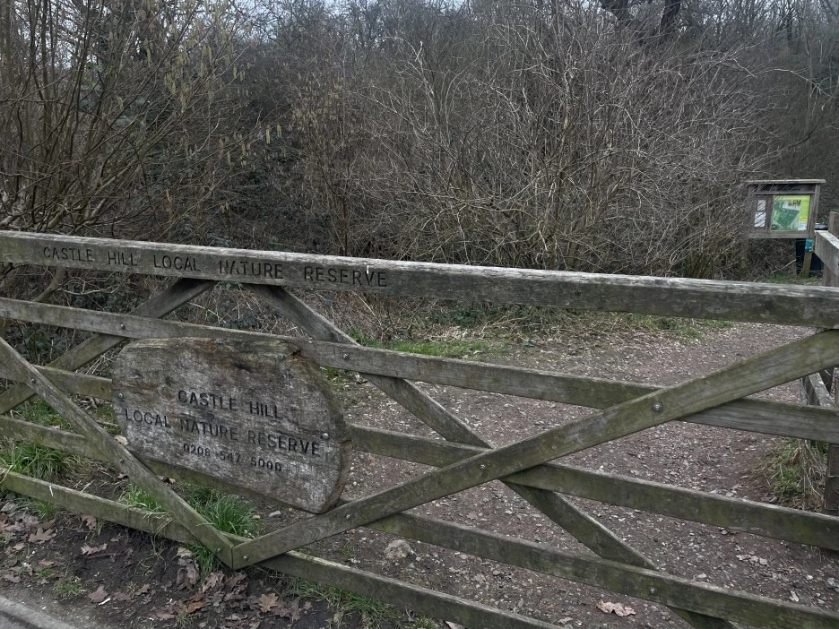 IMG_2174.jpg?type=w1