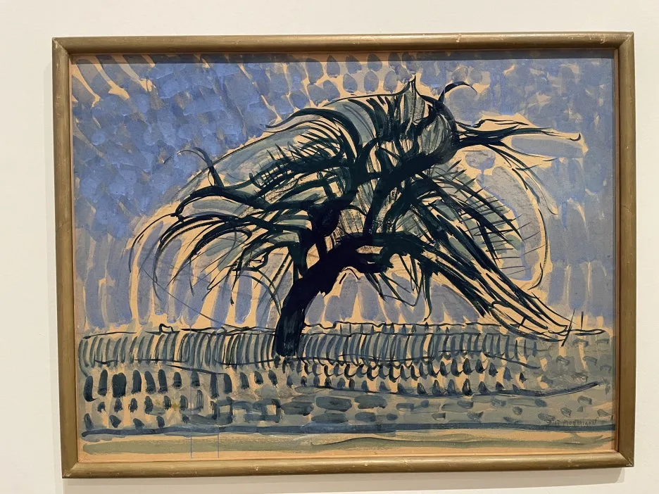 IMG_3092.JPG?type=w1