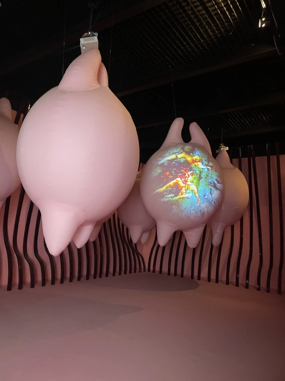 IMG_5455.jpg?type=w1