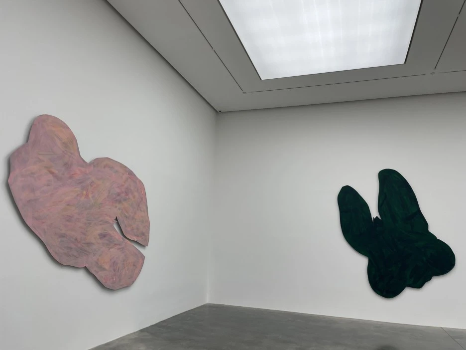 IMG_2446.jpg?type=w1