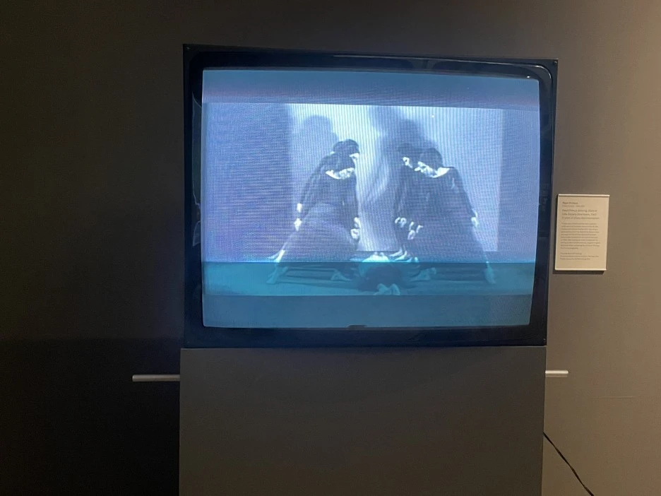 IMG_2701.JPG?type=w1