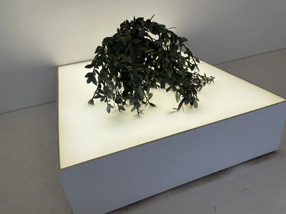 IMG_5475.jpg?type=w1