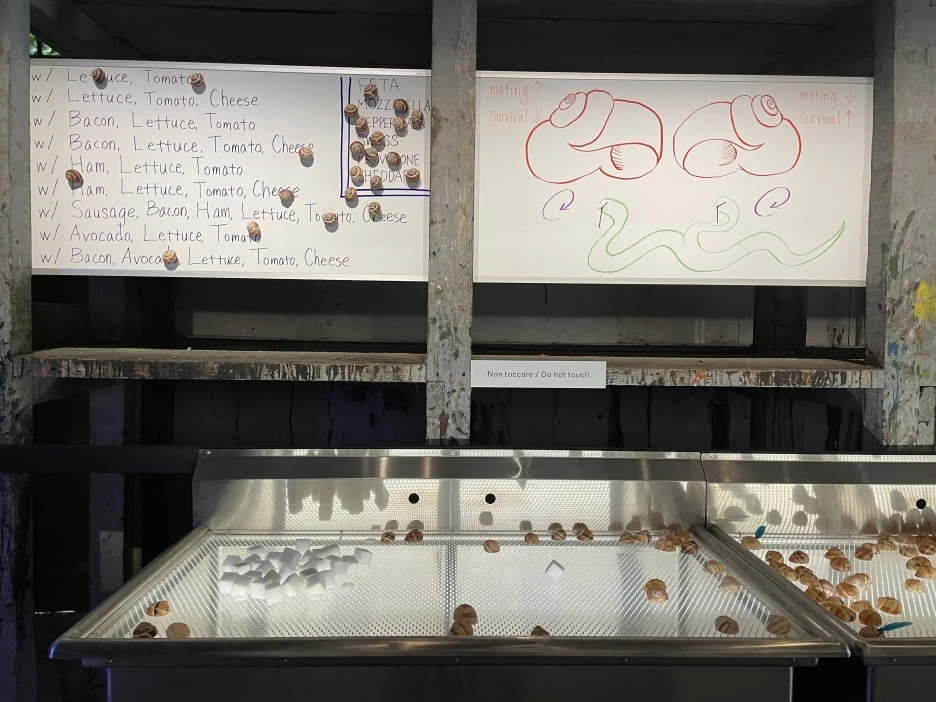 IMG_6761.jpg?type=w1