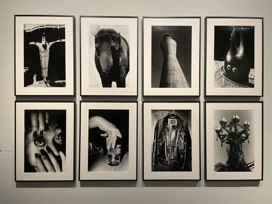 IMG_6849.JPG?type=w1