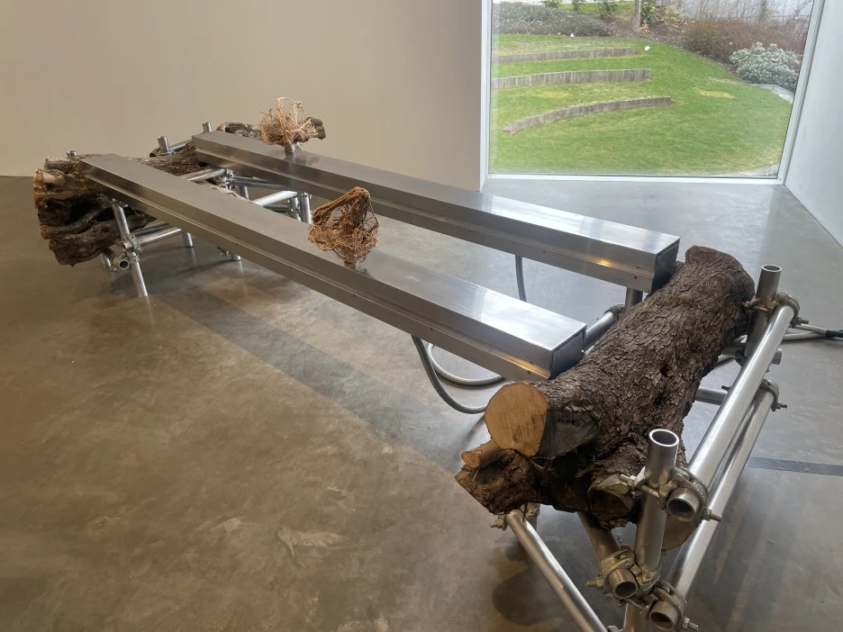 IMG_2976.JPG?type=w1