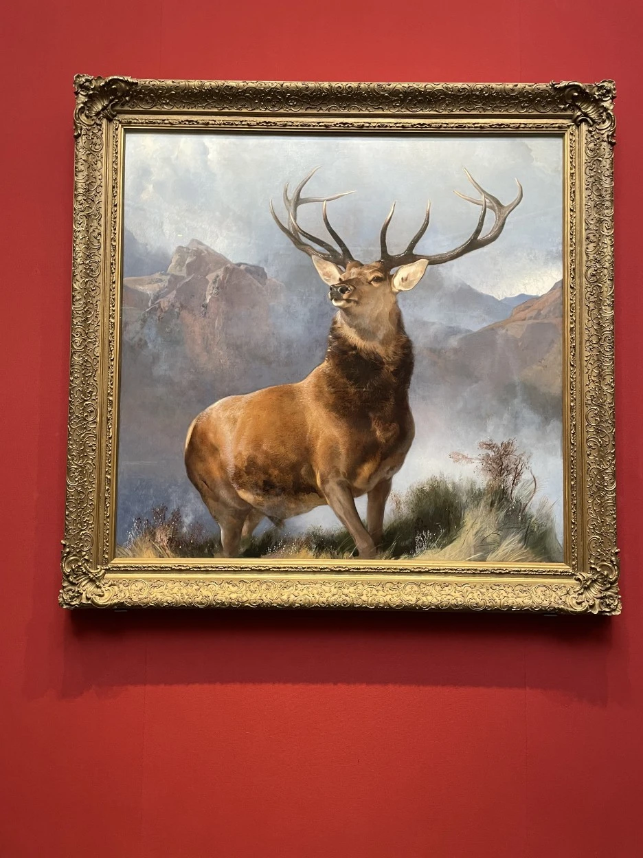 IMG_5424.jpg?type=w1