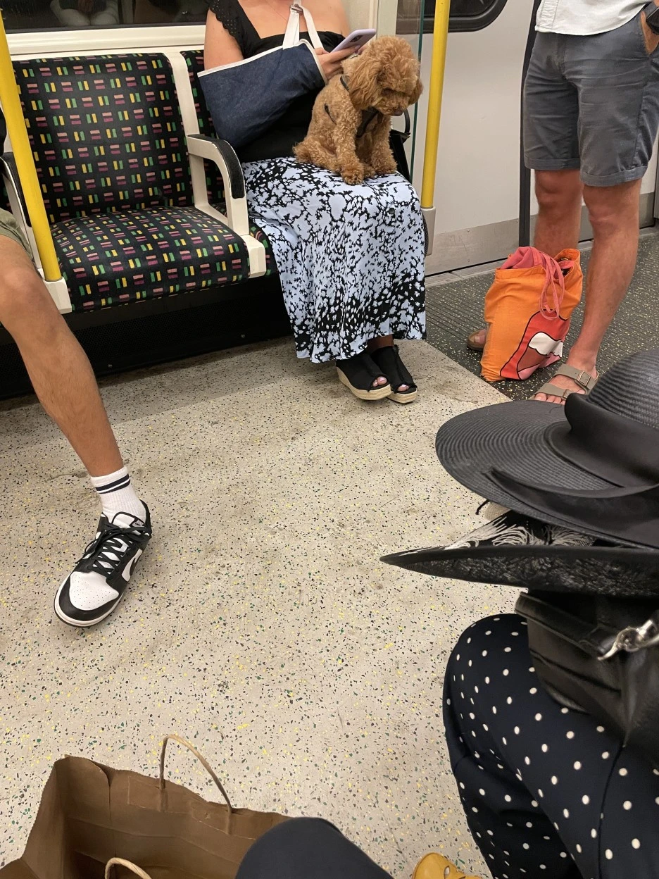 IMG_8310.JPG?type=w1