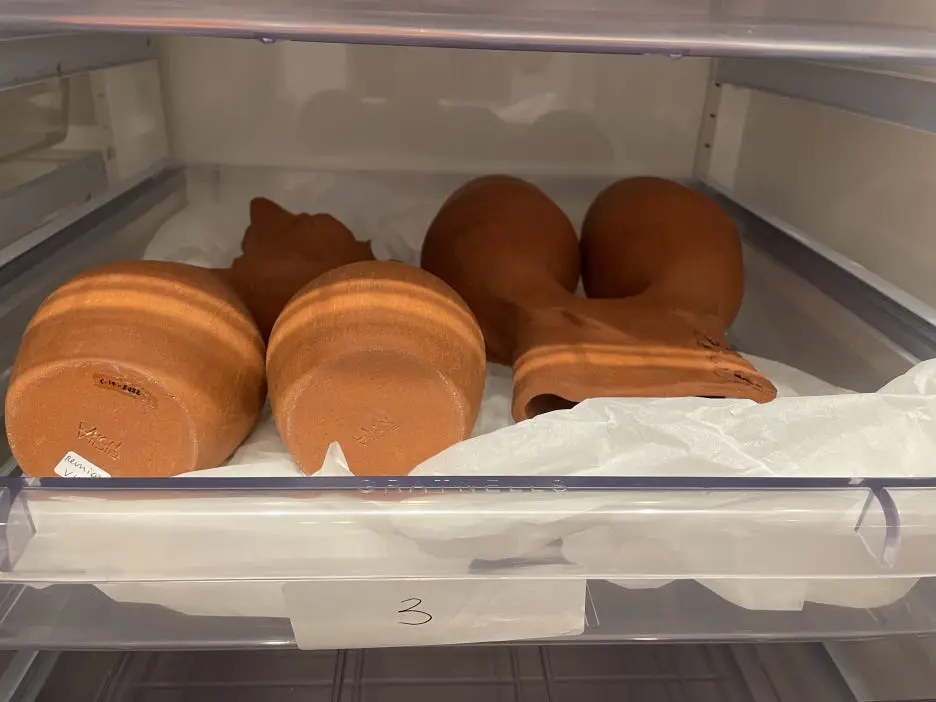 IMG_6803.JPG?type=w1