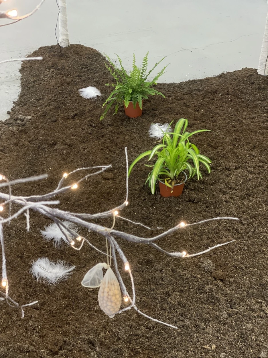 IMG_1288.jpg?type=w1