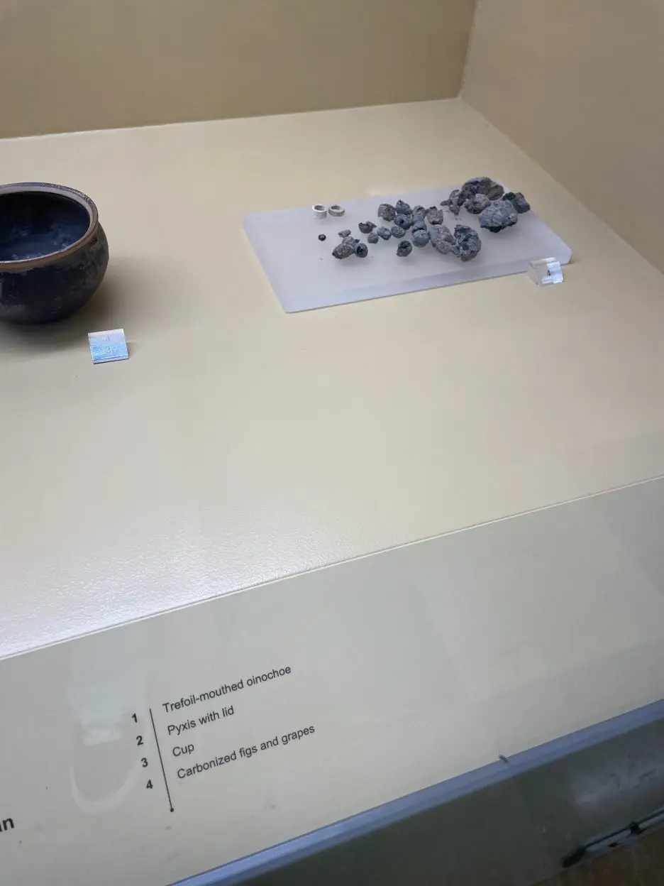 IMG_3211.JPG?type=w1