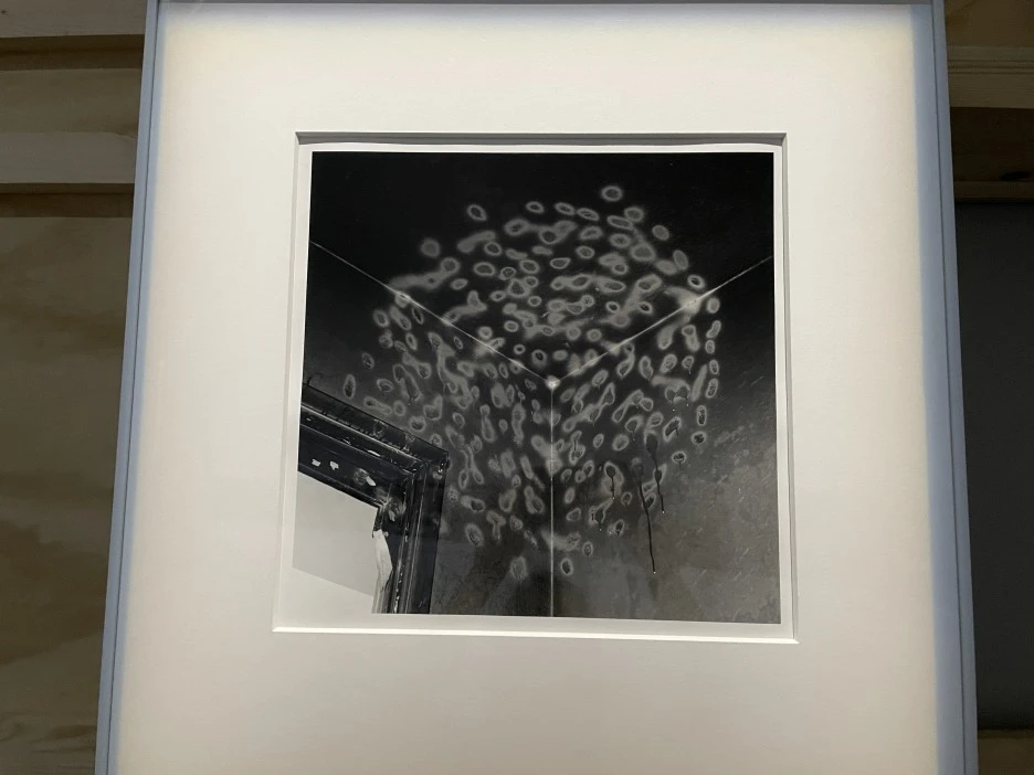 IMG_0627.JPG?type=w1