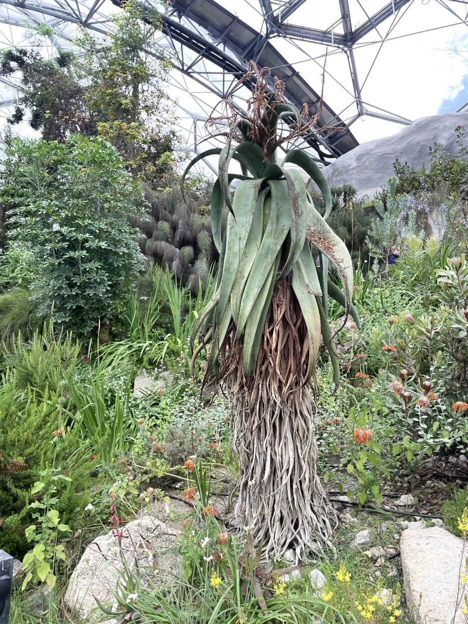 IMG_5388.JPG?type=w1